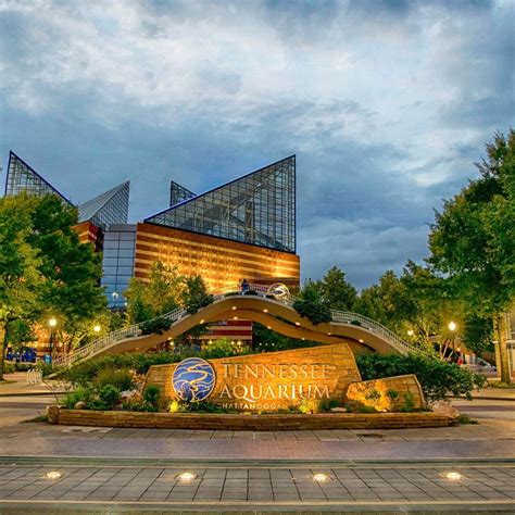Aquarium tennessee - Hotels near Tennessee Aquarium, Chattanooga on Tripadvisor: Find 50,975 traveler reviews, 17,193 candid photos, and prices for 149 hotels near Tennessee Aquarium in Chattanooga, TN.